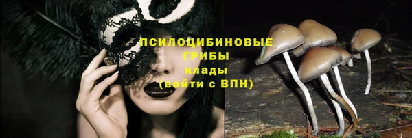 марки nbome Новокубанск