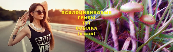 соль курить ск Новозыбков