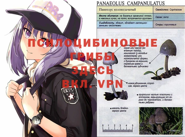 прущие крисы Нягань